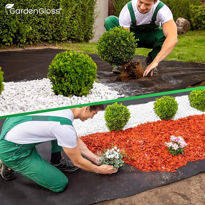 Ceci est un essai d'article