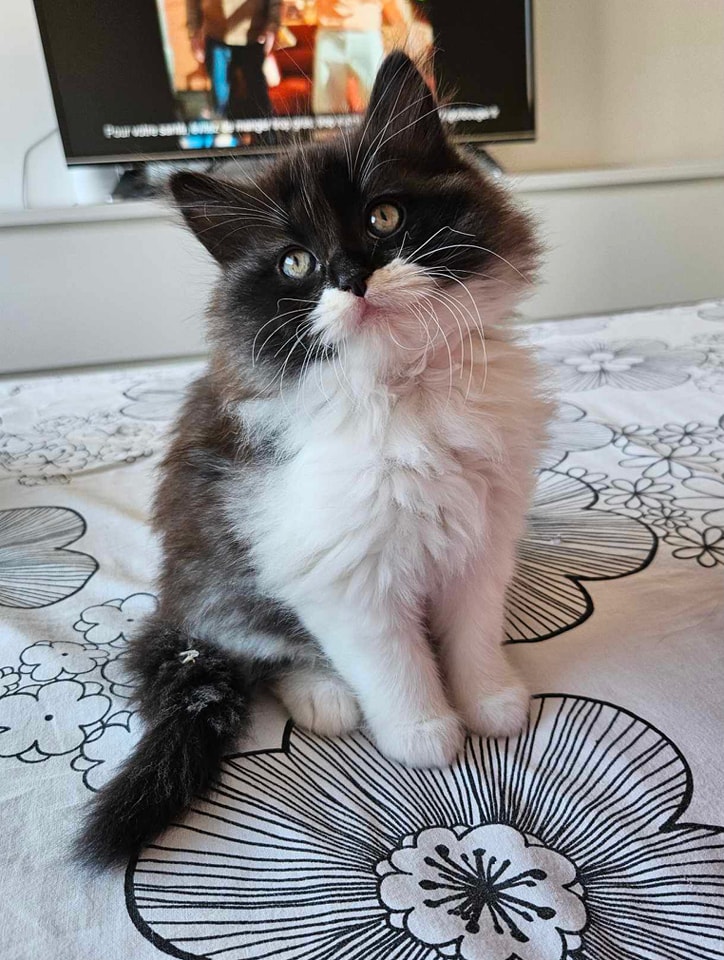 Nouveaux horaires d'entraînement